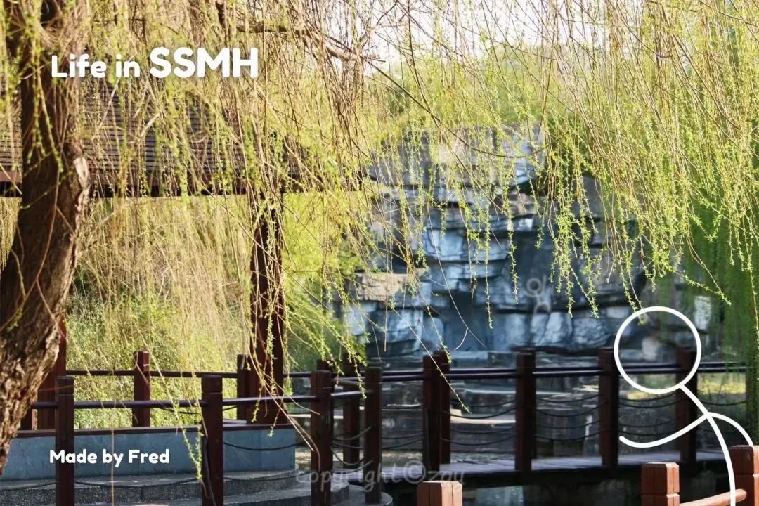 上海招聘闵行教育教师_上海闵行教师招聘2020公告_上海闵行教育教师招聘