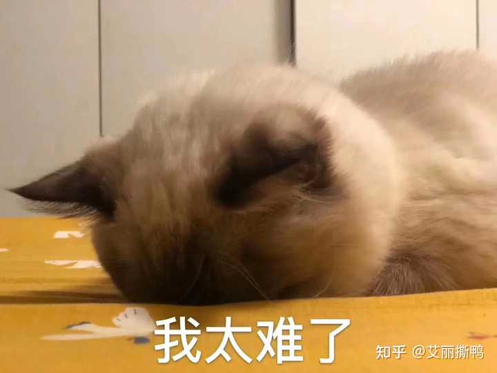 公务员考试网上辅导_公务员考试辅导网站_辅导公务员考试网上怎么报名