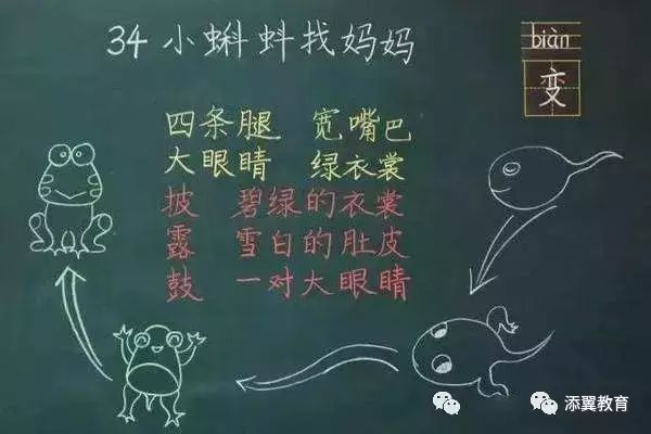 掌握板书设计要素，提升教学效果：内容系统、少而精且有计划性图2