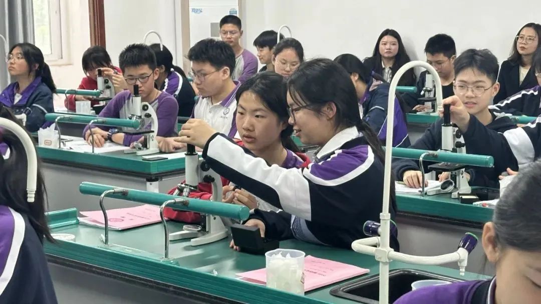 新的教师培养模式注重发展教师_重视教师培养_教师注重培养模式发展新思路