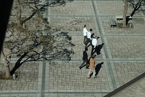 什么是支撑发展_教师发展支撑点_教师发展支持体系