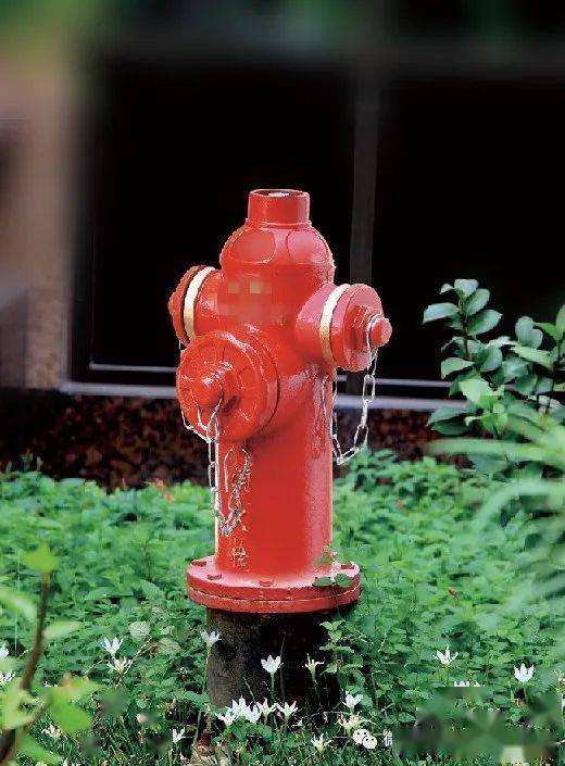 室外器消防接合图安装规范_消防室外接合器安装图_室外消防接合器安装图片