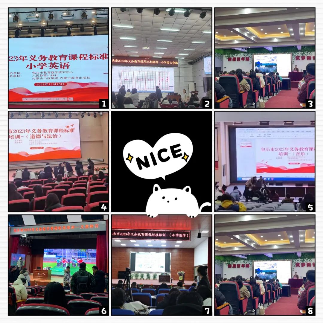 小学教师培养青年教师总结_青年总结培养小学教师工作能力_小学青年教师培养工作总结