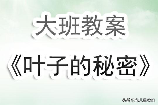 幼儿园反思型教师感悟_幼儿园教师的反思_幼儿园教师教育反思