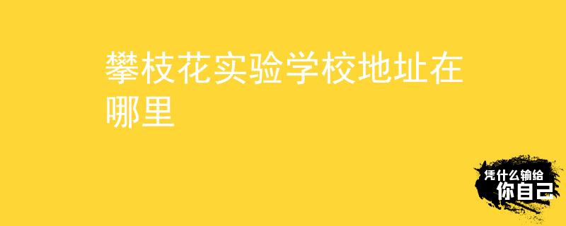 攀枝花实验学校地址在哪里