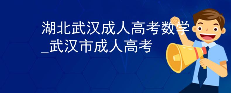 湖北武汉成人高考数学_武汉市成人高考