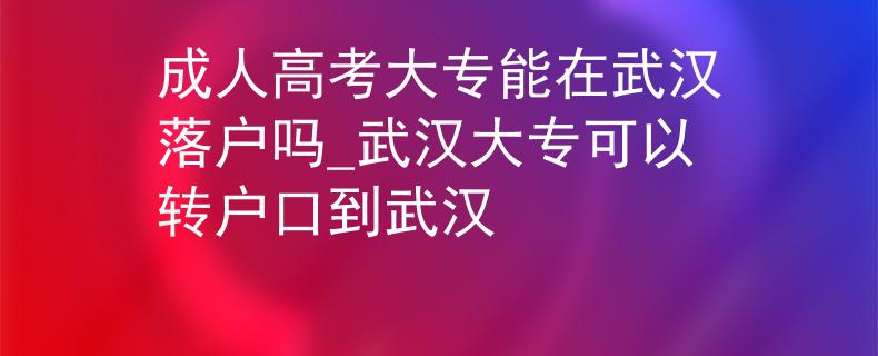 成人高考大专能在武汉落户吗_武汉大专可以转户口到武汉