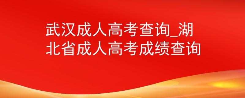 武汉成人高考查询_湖北省成人高考成绩查询