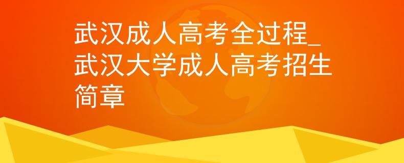 武汉成人高考全过程_武汉大学成人高考招生简章