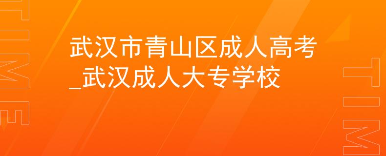 武汉市青山区成人高考_武汉成人大专学校