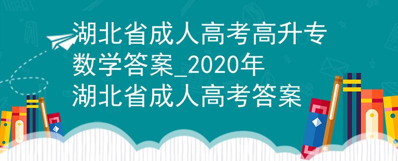 湖北省成人高考高升专数学答案_2020年湖北省成人高考答案