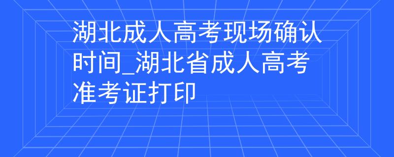 湖北成人高考现场确认时间_湖北省成人高考准考证打印