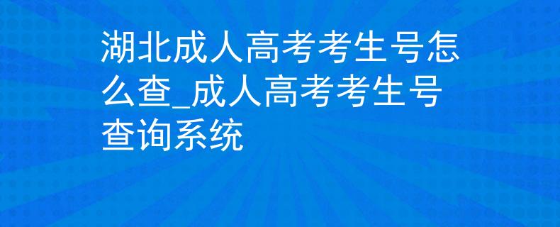 湖北成人高考考生号怎么查_成人高考考生号查询系统