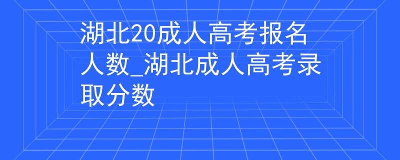 湖北20成人高考报名人数_湖北成人高考录取分数