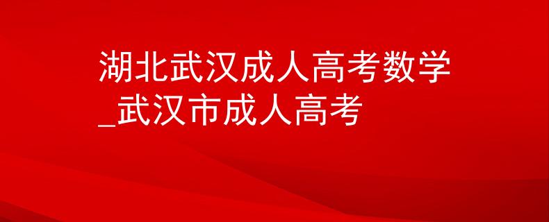 湖北武汉成人高考数学_武汉市成人高考