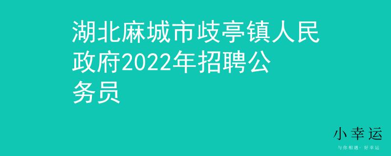 湖北麻城市歧亭镇人民政府2022年招聘公务员