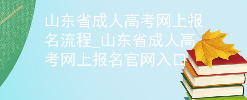 山东省成人高考网上报名流程_山东省成人高考网上报名官网入口