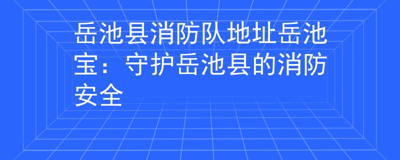 岳池县消防队地址岳池宝：守护岳池县的消防安全